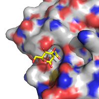 ISTM_Structural_Biology_image07