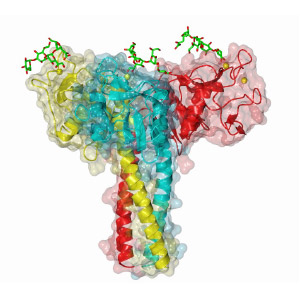 Structural_biology_image1