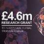 4.6m research grant