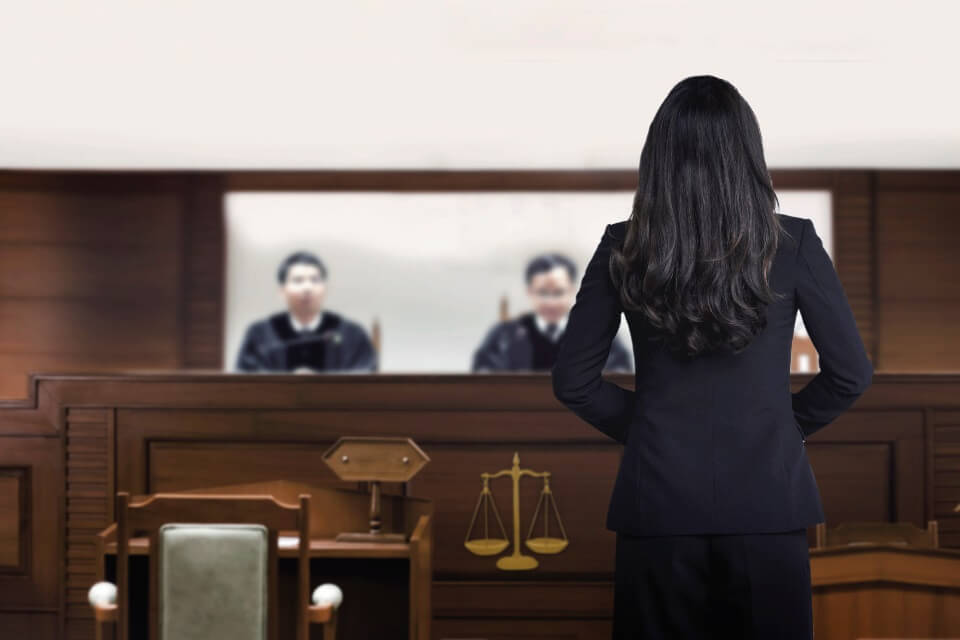 Back of a person standing in a courtroom
