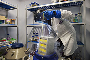 KeeleUni_16sept15_035sml-262x176