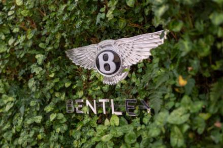 Bentley motors logo embedded in a bush