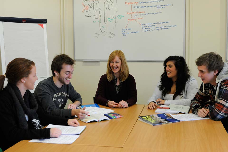 Intercalated bachelor's courses