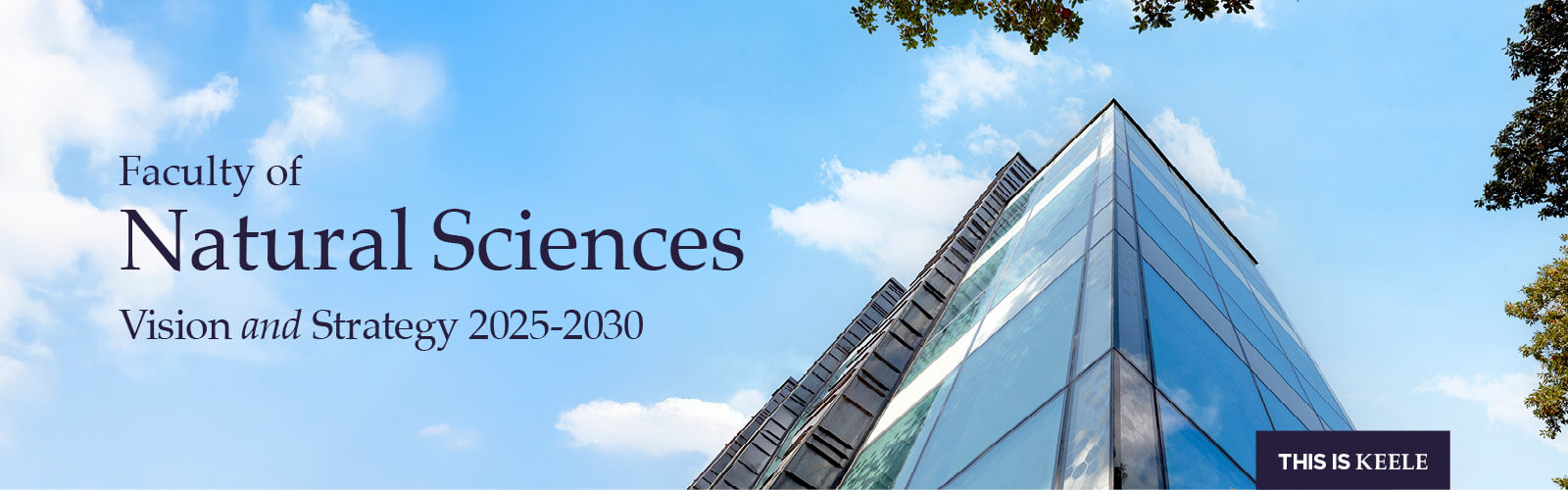 Faculty of Natural Sciences Vision and Strategy
