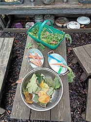 Fox room Keele University Day Nursery