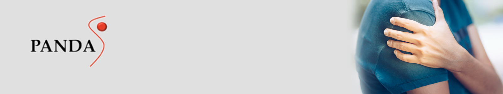 PANDA-S: What is it?