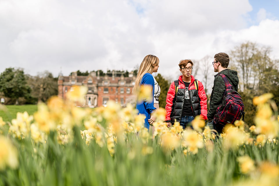 Dual Honours and Single Honours Bachelor