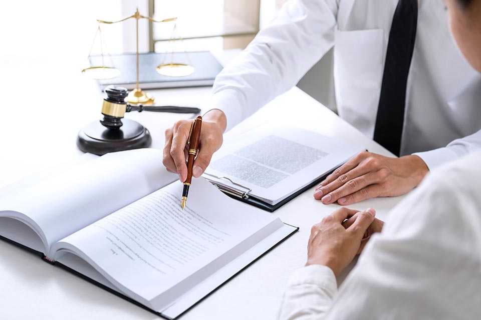 Professional, statutory and regulatory bodies