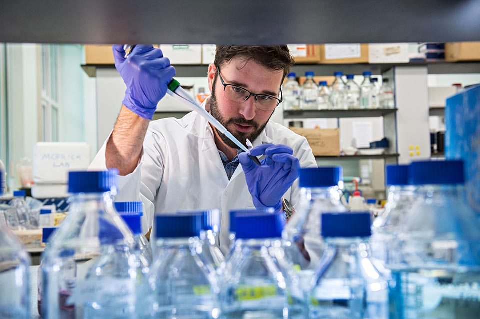 Postgraduate programmes