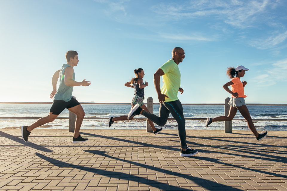 Musculoskeletal research