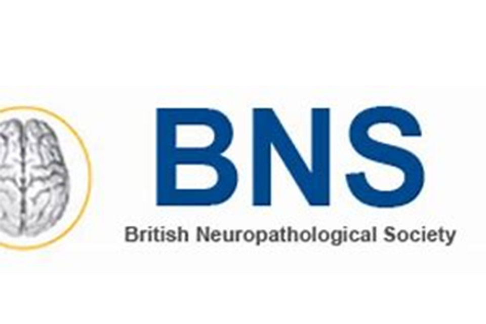 Zaib Shamsi presents his summer project work at London conference