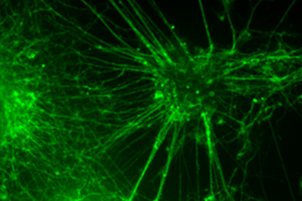 Bioengineering and Health Technologies