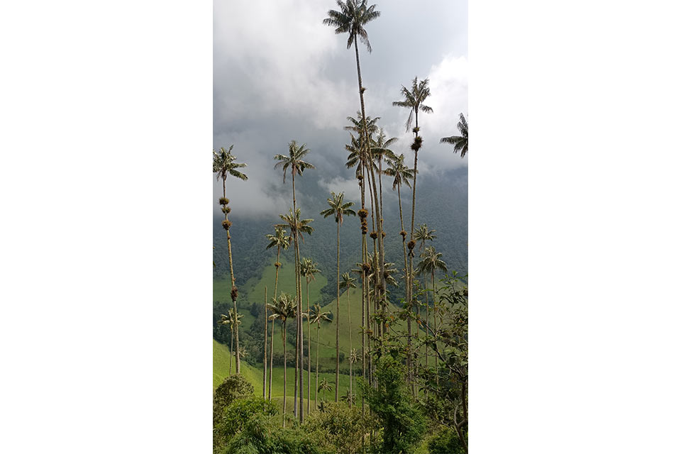 Ecology, Biodiversity and Conservation