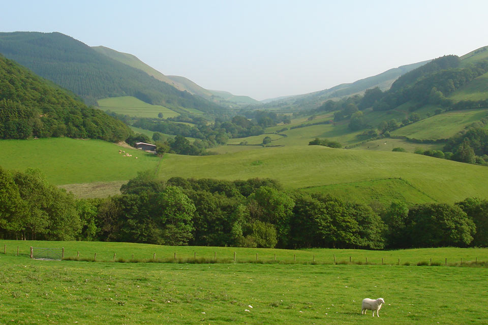 Environment, Place and Rural Systems