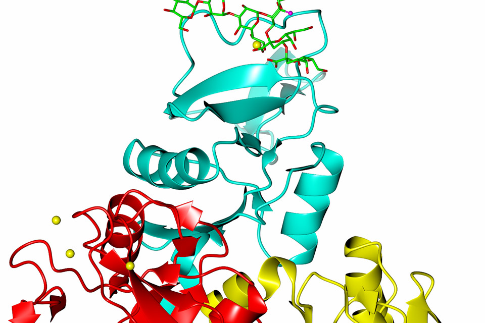 Molecular and Cellular Systems in Health and Disease