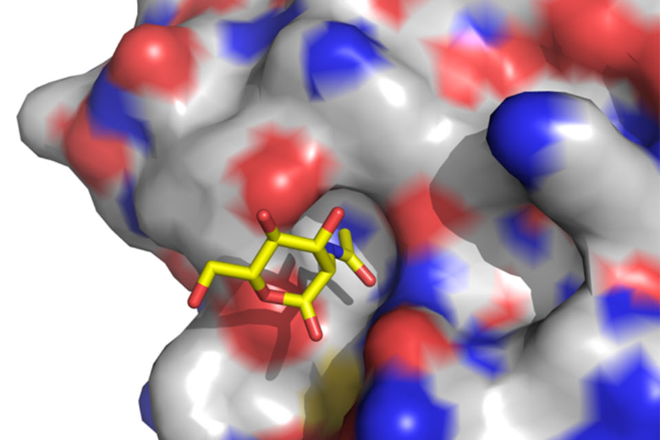 Molecular and Cellular Systems in Health and Disease