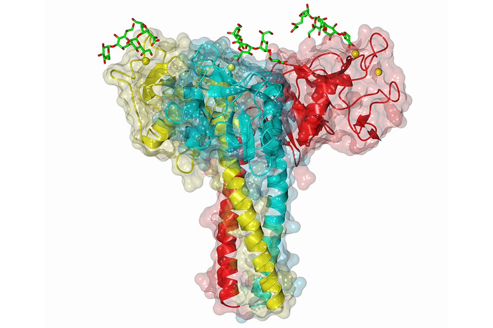Molecular and Cellular Systems in Health and Disease