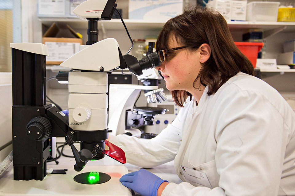 Doctoral training centres and partnerships