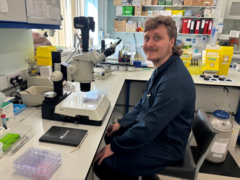 New study probes rapid spread of rare cancer