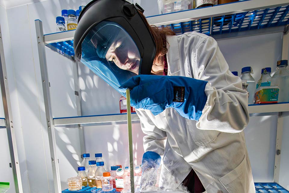 Chemistry and Medicinal Chemistry