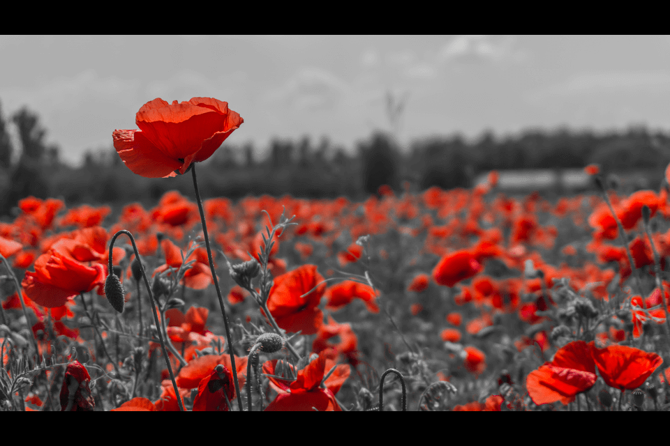 Comment | 'How we remember the fallen has changed a lot'