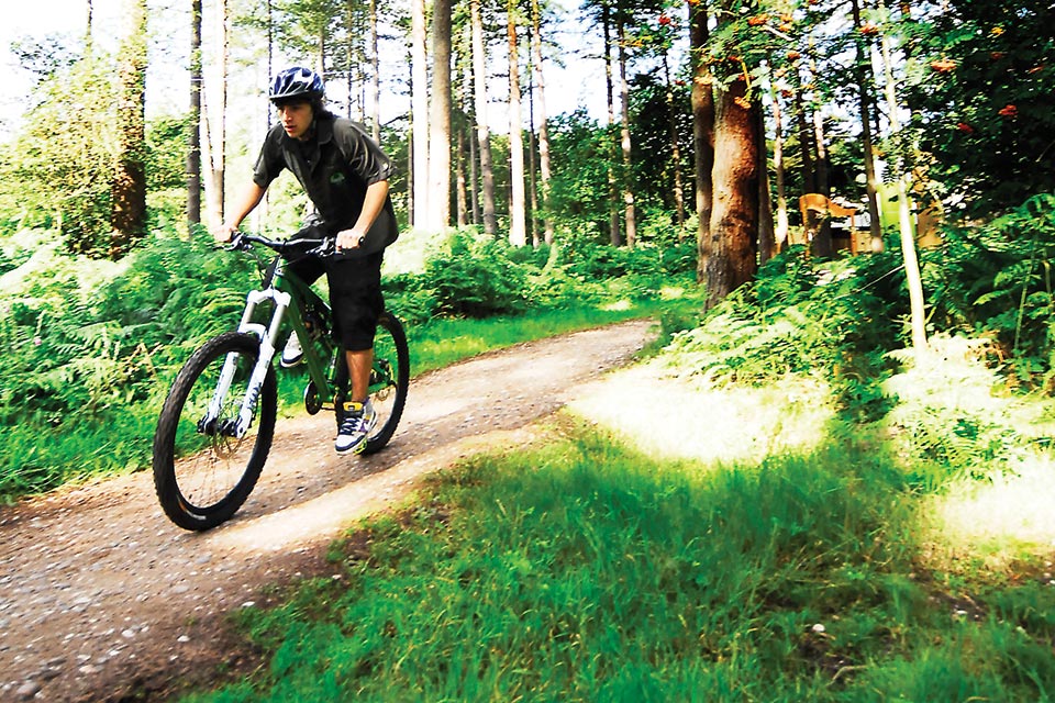 Escape to the Country