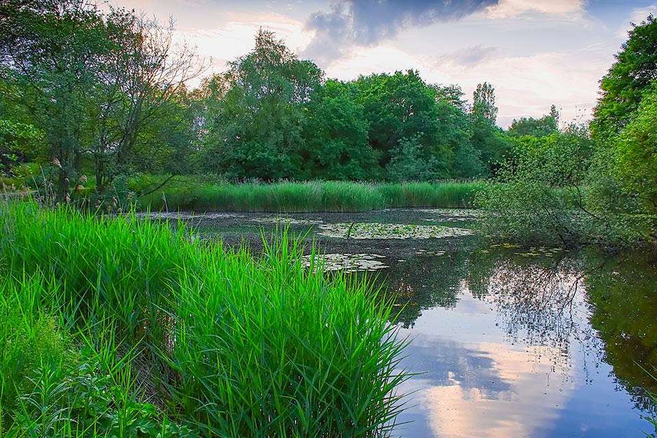 Kidsgrove to Westport Lake and back