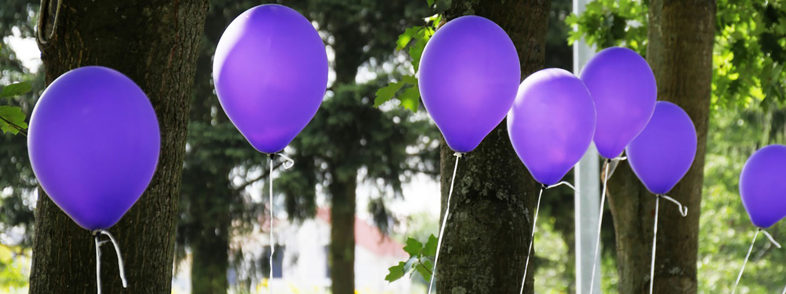 Celebrating our Student Ambassadors banner