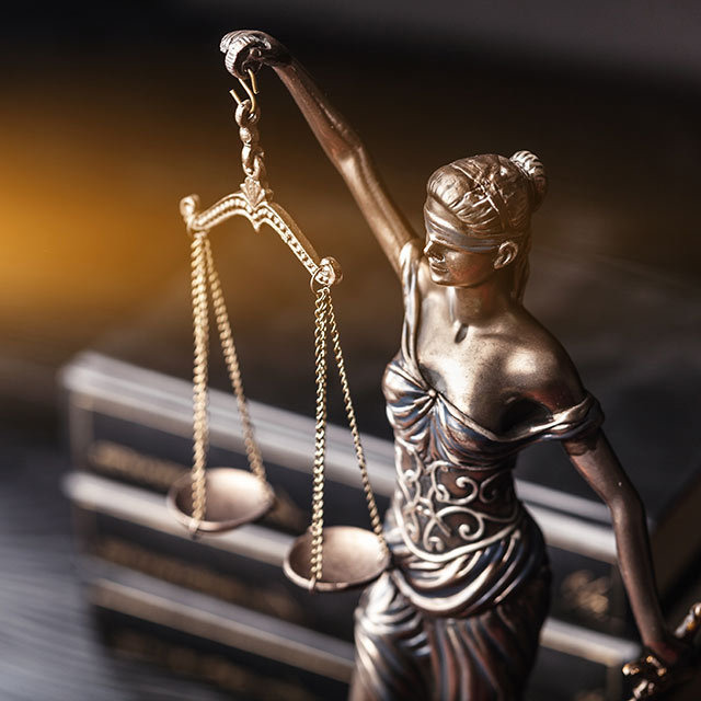 Celine Sjauw, Level III Law Student 2016/17