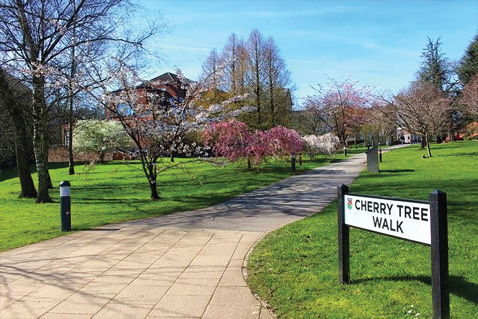 Cherry Tree Walk