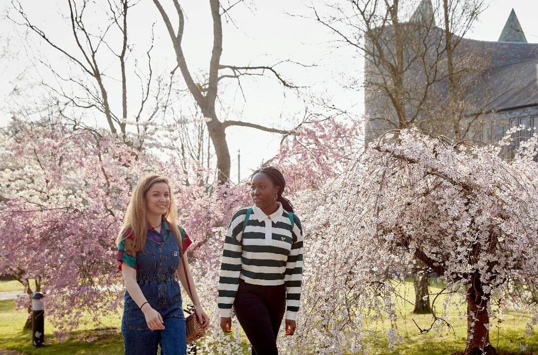 International students