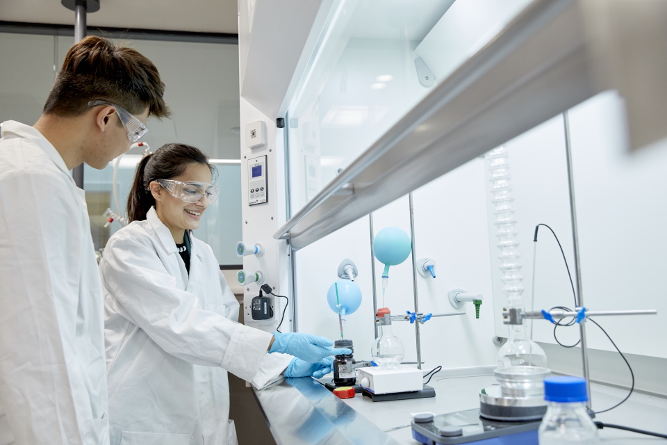 Chemistry and Medicinal Chemistry