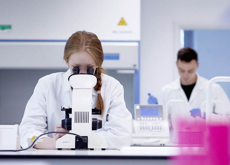 Pharmacy and Bioengineering