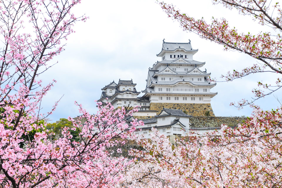 Learn Japanese at Keele University