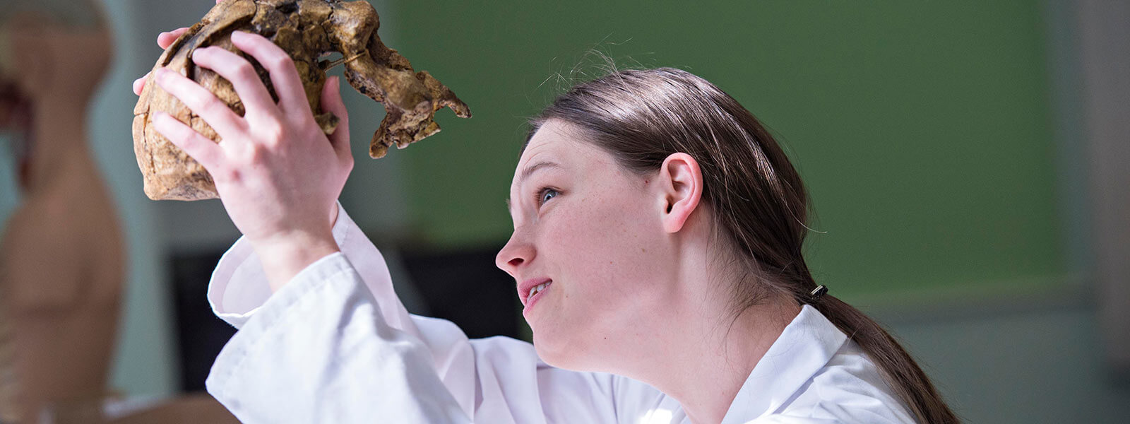 School of School of Life Sciences