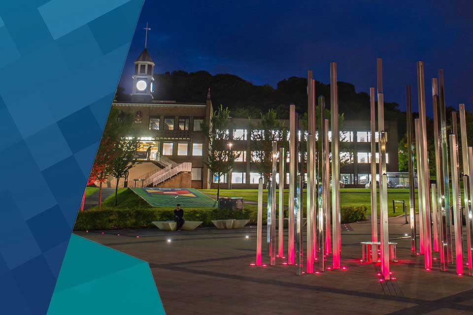 Professor Sally Everett