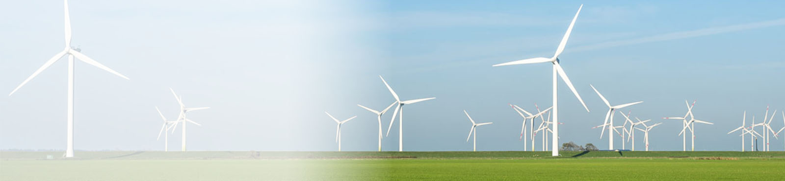 Environmental Sustainability and Green Technology