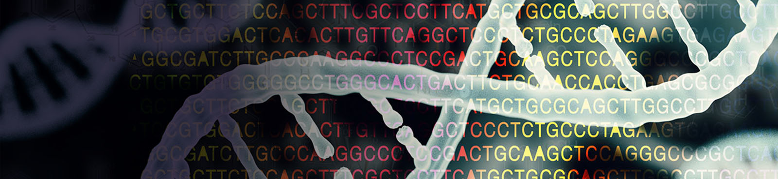 Medical Engineering (Biomedical Engineering)