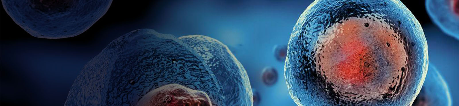 Medical Engineering (Cell and Tissue Engineering for Regenerative Medicine)