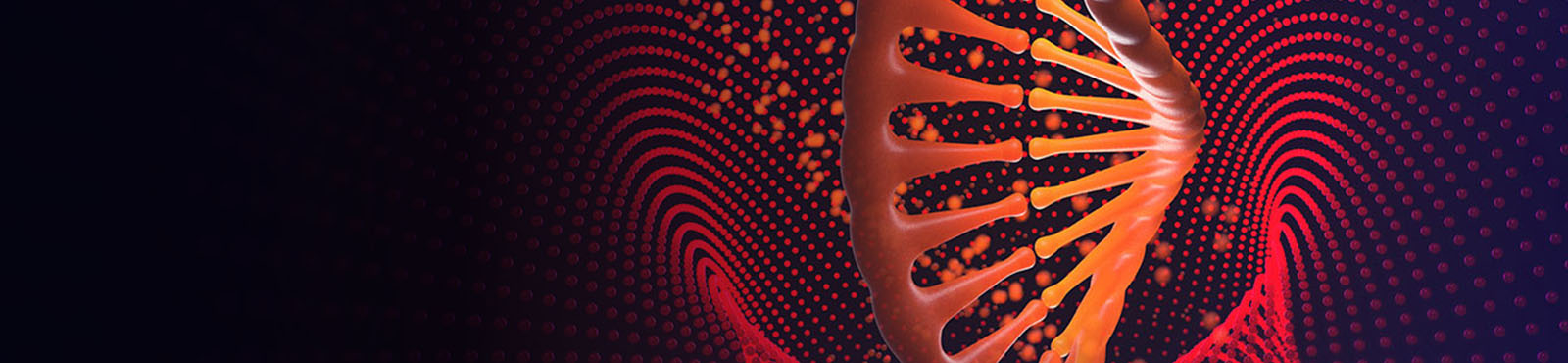 Medical Engineering (Design and Innovation)