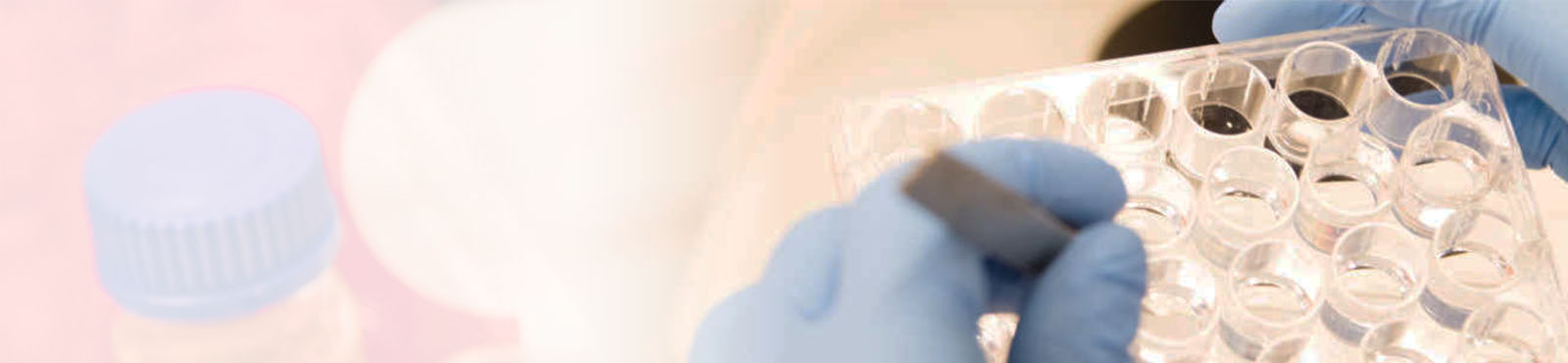 Pharmacy (Professional MSc)