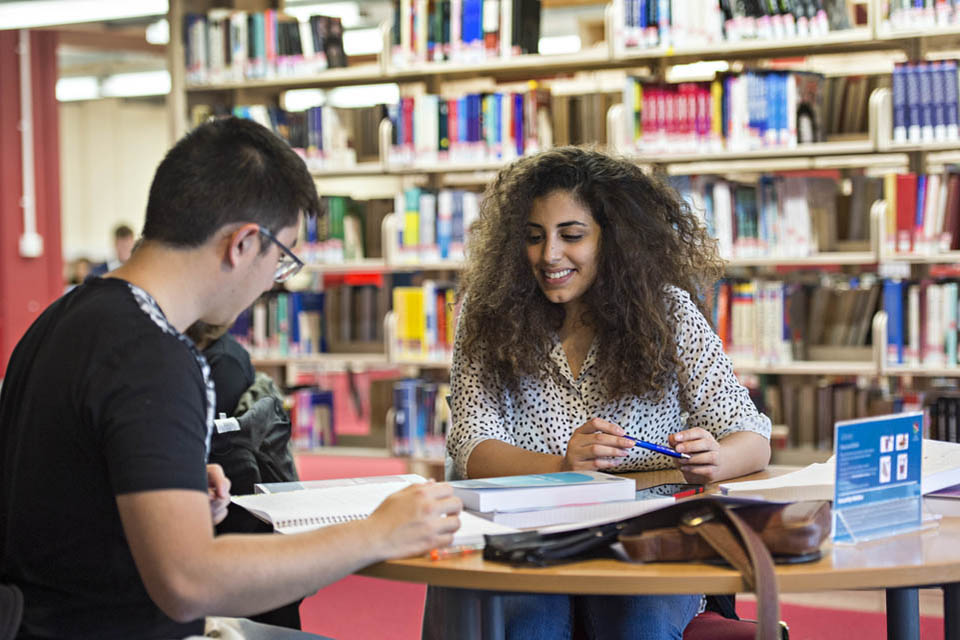 TESOL+ British Cultural Studies