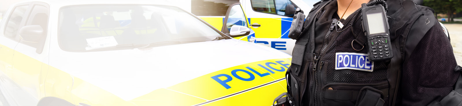 Criminology and Criminal Justice | Top-up