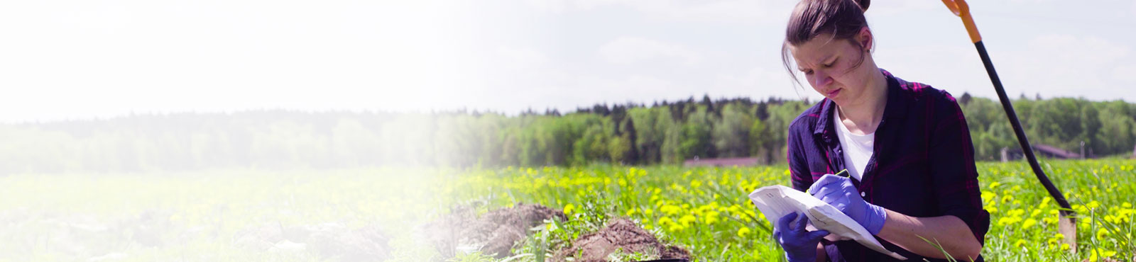 Ecology and Conservation 