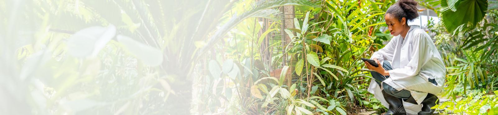 Environmental Science and Geography with Integrated Master's