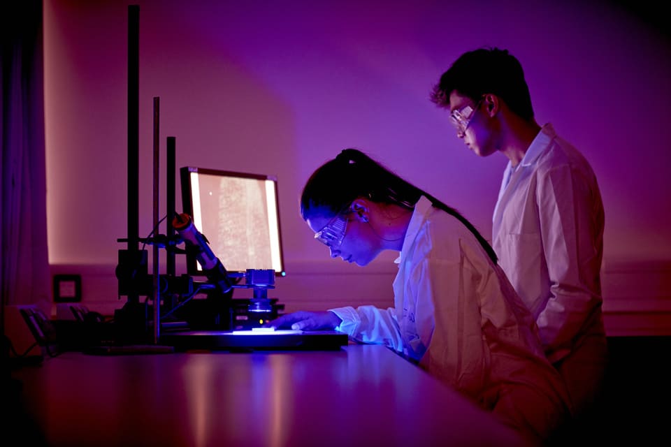Forensic chemistry keele students in lab 
