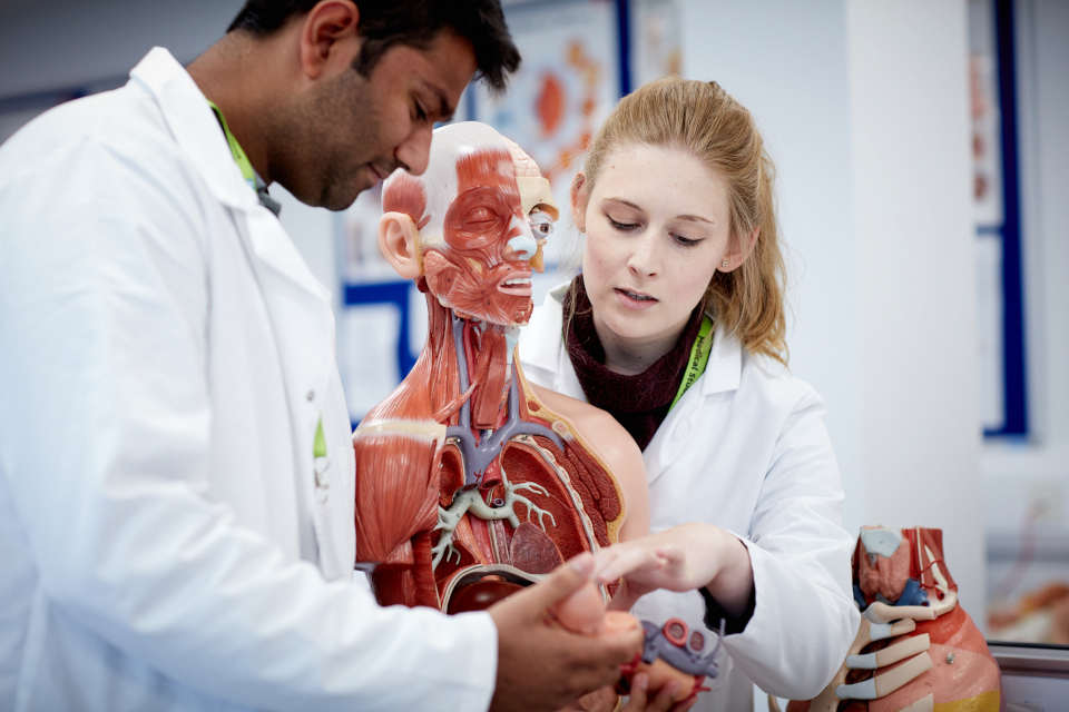 Two Human Anatomy BSc students with a model of the human body