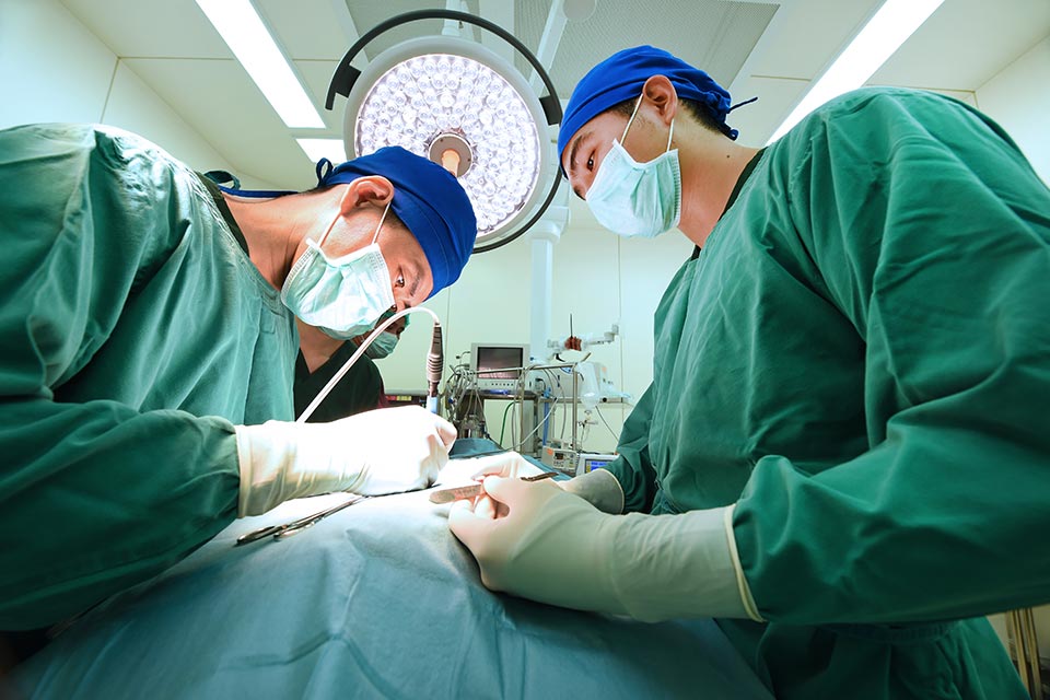 Veterinary surgeons in operating theatre