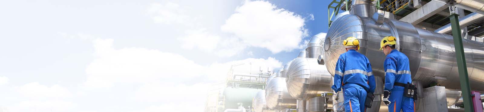 Chemical Engineering with Integrated Master's