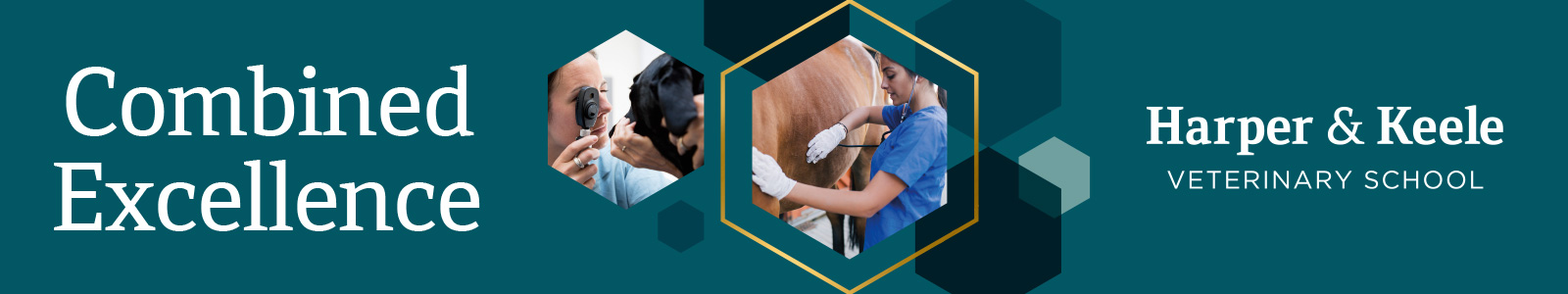 Veterinary Medicine and Surgery